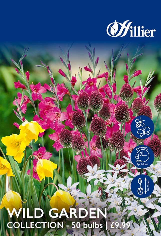 Mixed Wild Garden Collection Bulbs 8718641996348